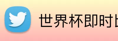 世界杯即时比分 Logo